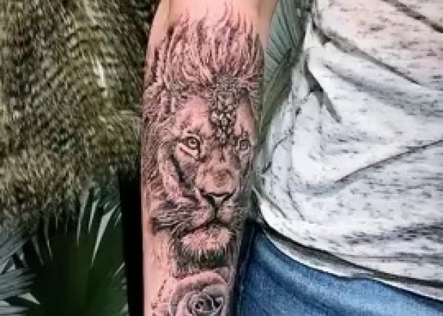 Lion / tatouage en cours
